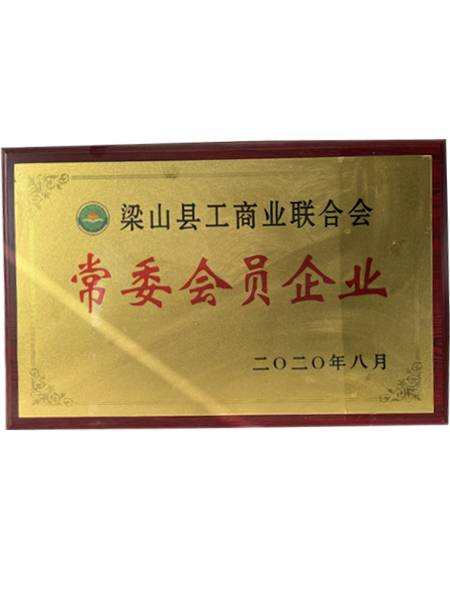 山東魯鵬化工有限公司