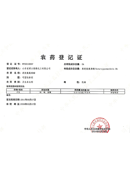 山東魯鵬化工有限公司