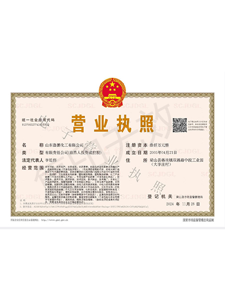 山東魯鵬化工有限公司